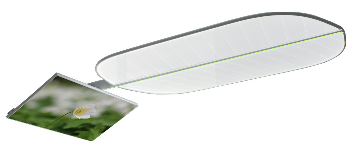 Leaf D-tec 03