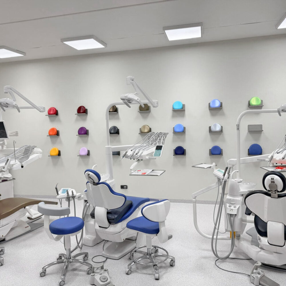 Showroom 01